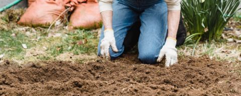 Ako pripraviť záhony na jar?