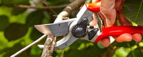 Vyberte si to najlepšie záhradné náradie: kvalita, ergonómia a špičkové spracovanie
