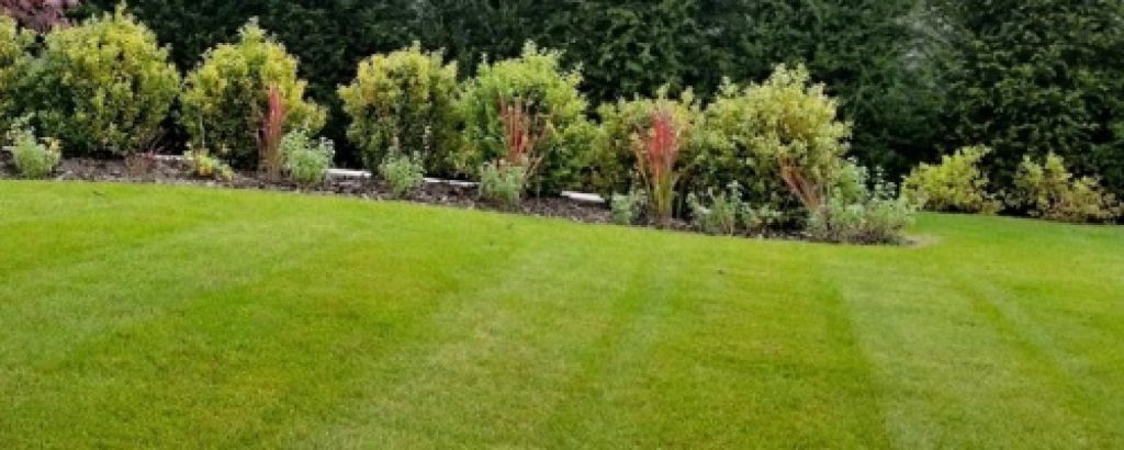 Dodajte svojmu trávniku po zime opäť svieži vzhľad