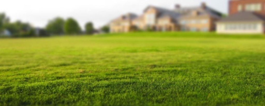 Ako založiť nový trávnik