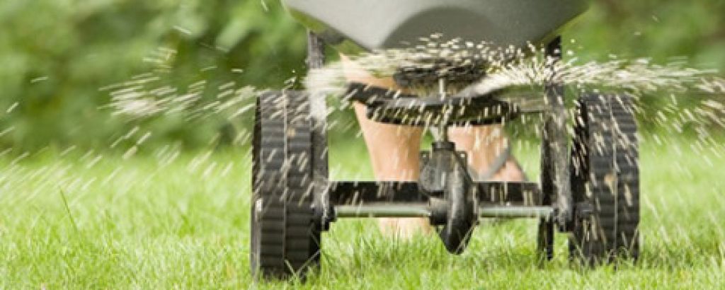 Zlaté pravidlá hnojenia trávnika. Vyvarujte sa zbytočných chýb