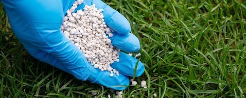 Trávnikové hnojivá sa líšia aj dobou pôsobenia. Ako sa zorientovať?