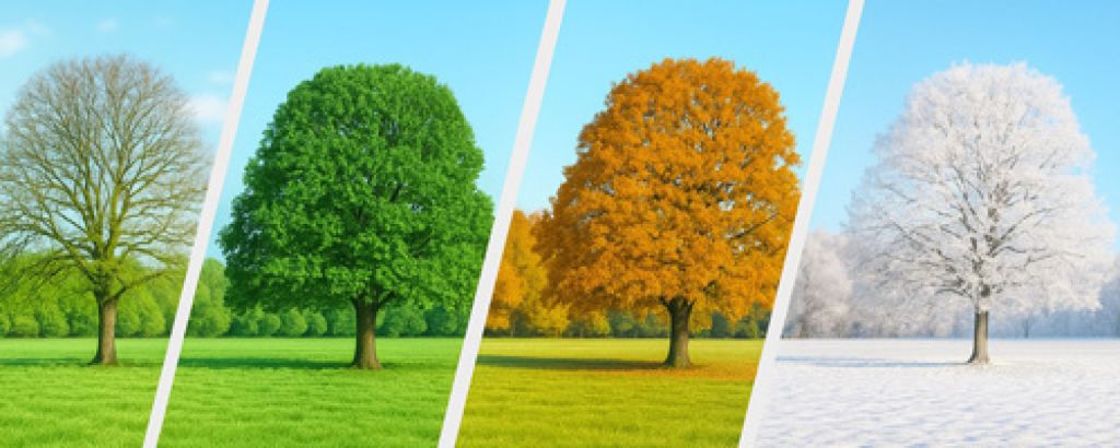 Prispôsobte sa odlišným potrebám trávnika v každej sezóne