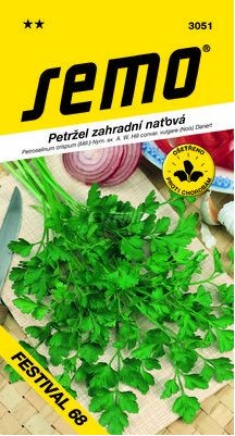 Petržel FESTIVAL 68 naťová