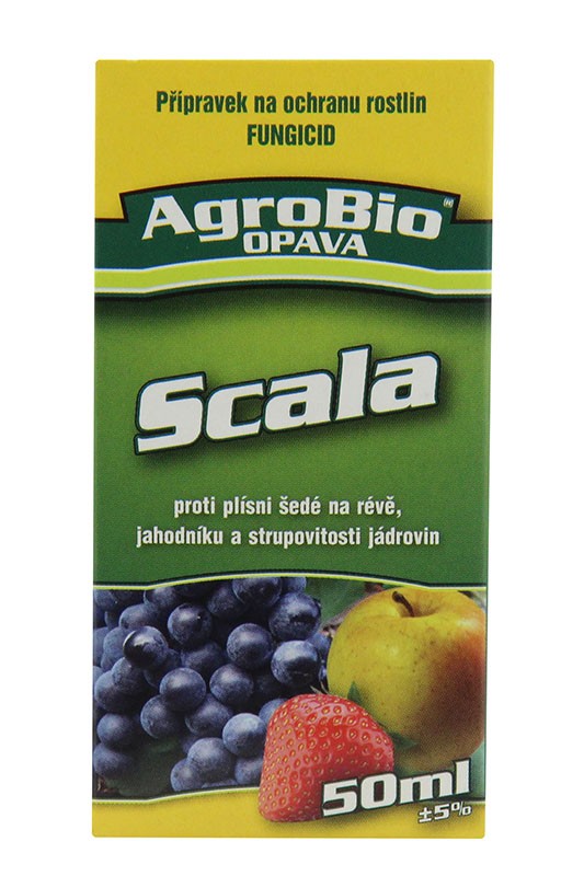 Scala - 50 ml