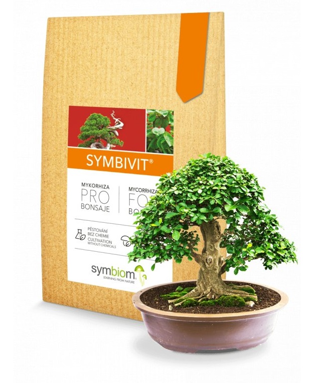 Symbivit Bonsai 150 g