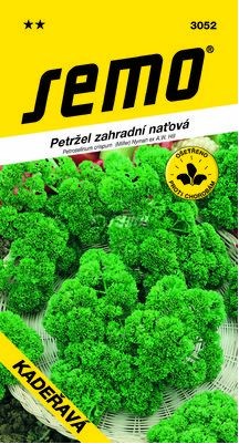 Petržlen záhradný vnaťový KUČERAVÝ / KADEŘAVÁ