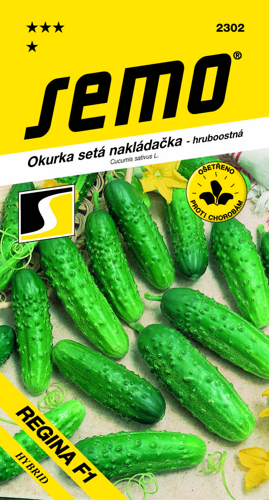 Uhorka nakladačka hruboostná REGINA F1