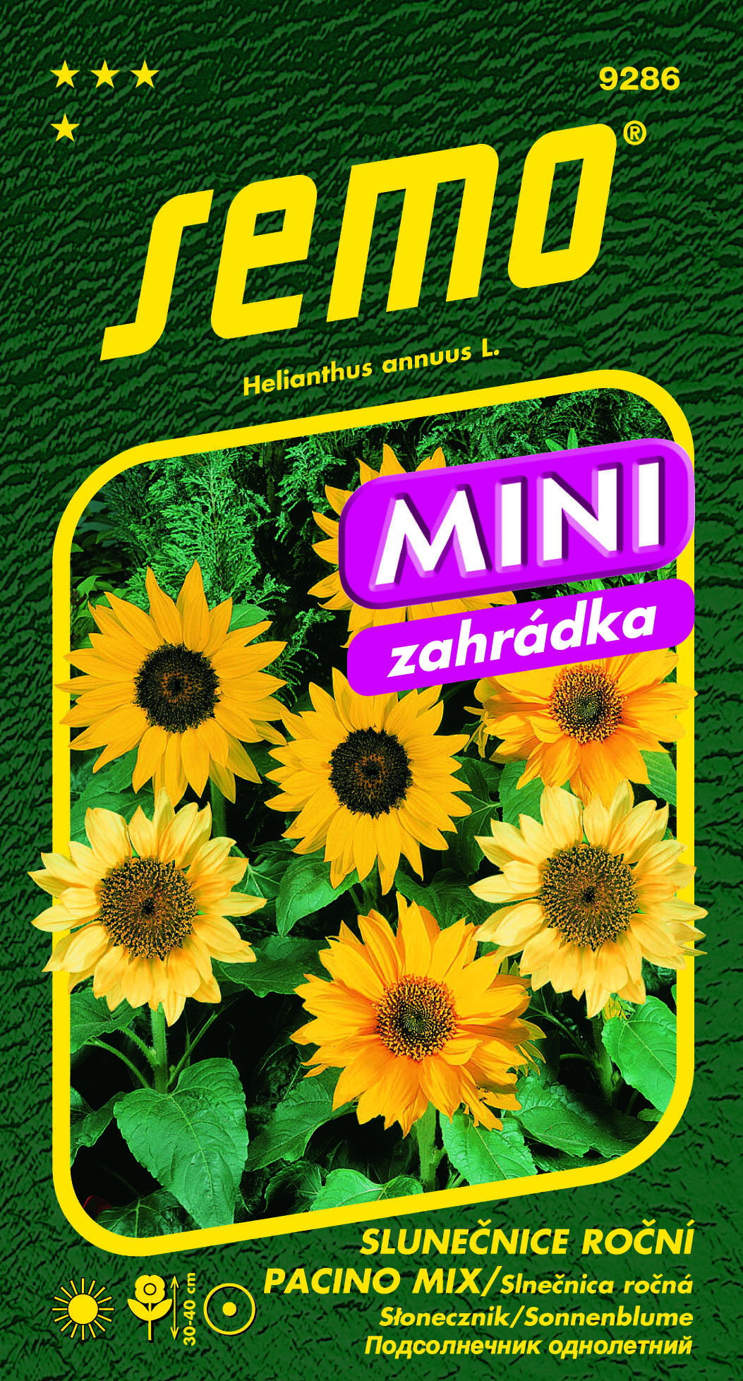 Slnečnica ročná PACINO mix mini