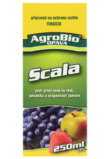 Scala - 250 ml