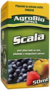 Scala - 50 ml