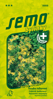 Ľubovník bodkovaný