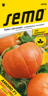 Tekvica AMORO F1