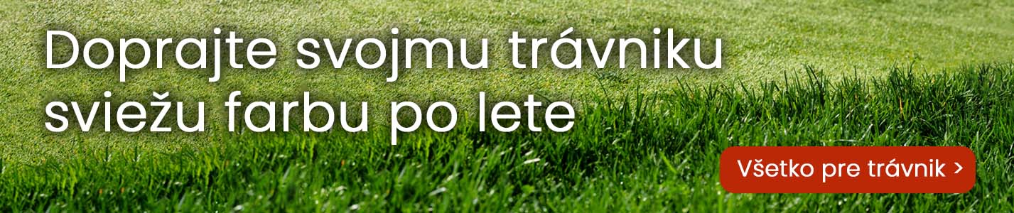 Banner_sk_new_travnik_po_lete_2025.jpg