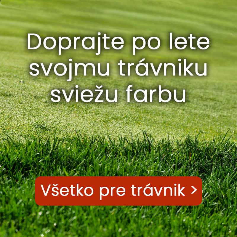 Banner_sk_new_travnik_po_lete_2025_mobil.jpg