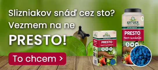 slide /fotky48155/slider/HP_banner_Presto_2025_sk_2.jpg