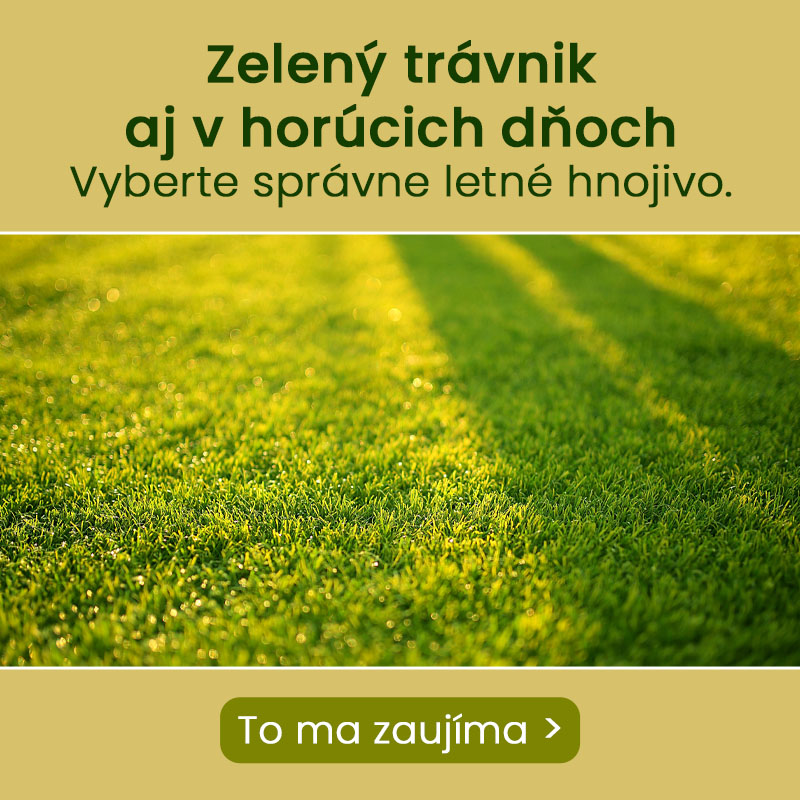_HP_Banner_SK_new_letni_hnoj_trav_mobil.jpg