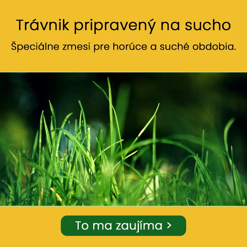 _HP_Banner_SK_travnik_sucho_mobil.webp