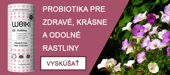 slide /fotky48155/slider/weikiSK.jpg